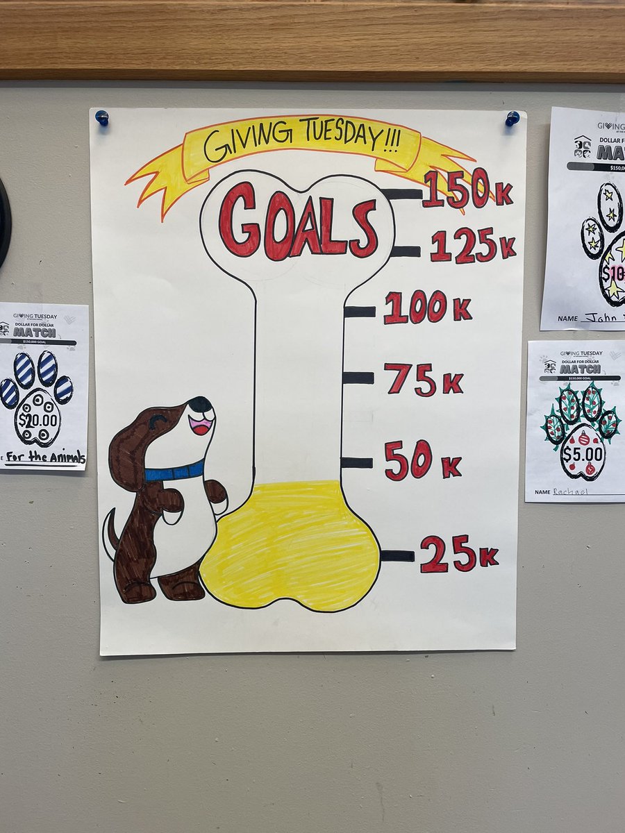 It’s #GivingTuesday! By donating to The NOAH Center, you can help provide lifesaving medical treatment, spay and neuter surgeries, and much-needed care for these animals. Your generosity will go a long way in supporting our furry friends!