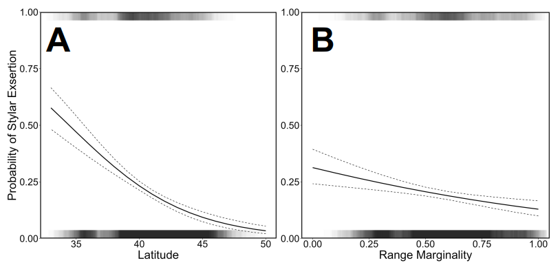 MattCoffey96's tweet photo. We found that evidence of stylar exsertion in images of Lobelia inflata did indeed increase both in the south of the species range and close to the proportional range centre! 📈

9/12 https://t.co/YncM6nx2Ay