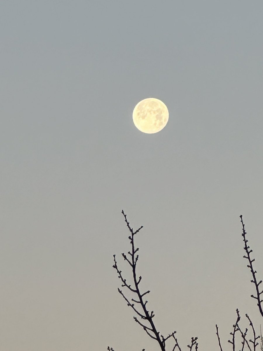 antJP01's tweet photo. Good evening @ellierees23 and @TopTweetTuesday , one inspired by a vision of the man in the moon….. #moonpoetry #toptweettuesday https://t.co/vUzlNZWT9c