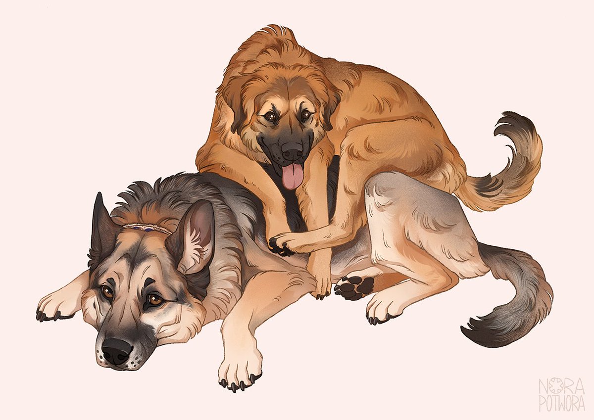 「Enzo and Journey, a pet commission I had」|Nora Potworaのイラスト