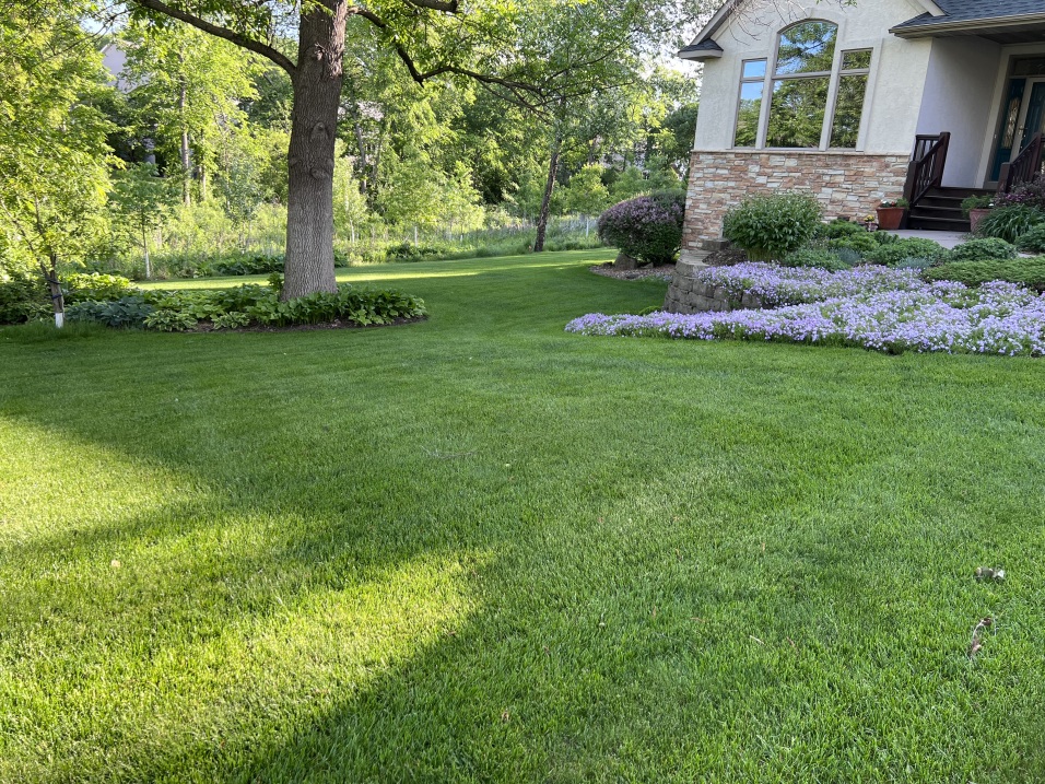 Get a head start on your 2024 lawn plans! Our team is available to discuss next summer's plans. 651-967-7592 #LawnCare #2024Lawns #organic #weedfree #twincities #lawnmaintenance #healthylawn #pestcontrol