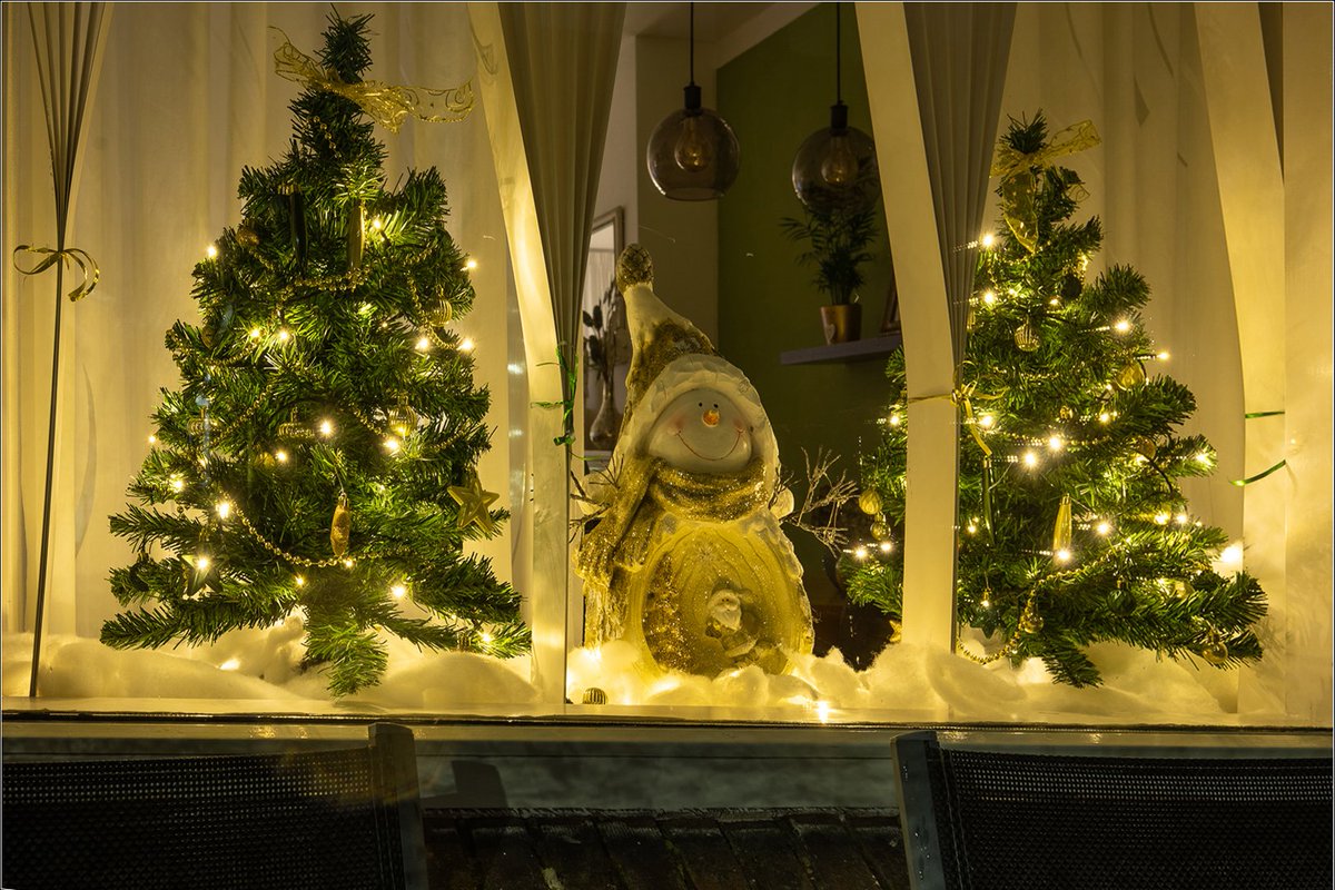 Vanaf vandaag tot eind januari 2024 zijn op drie locaties in de Leidse @Kooi (Het Gebouw Arubapad, Het Buurthuis Driftstraat, Leidse Hogeschool) foto's uit de serie "Kerstsfeer in De Kooi" te zien. De foto's zijn gemaakt door de Documentaire werkgroep van de #LAFV.