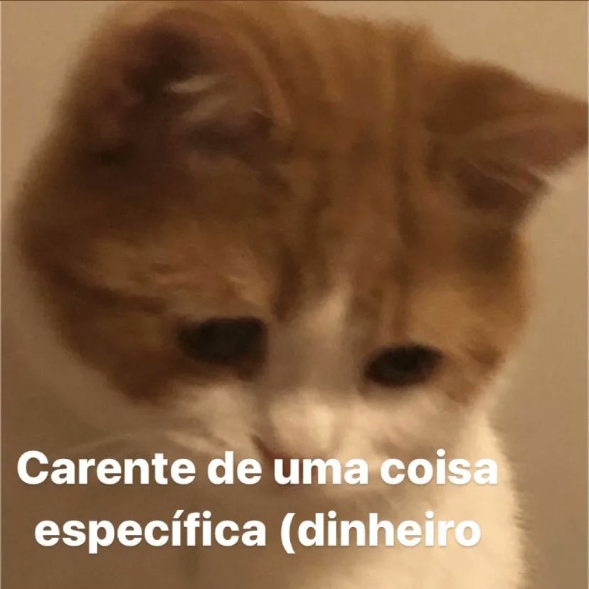 odeiootaco's tweet photo. https://t.co/O2SocJc4TC