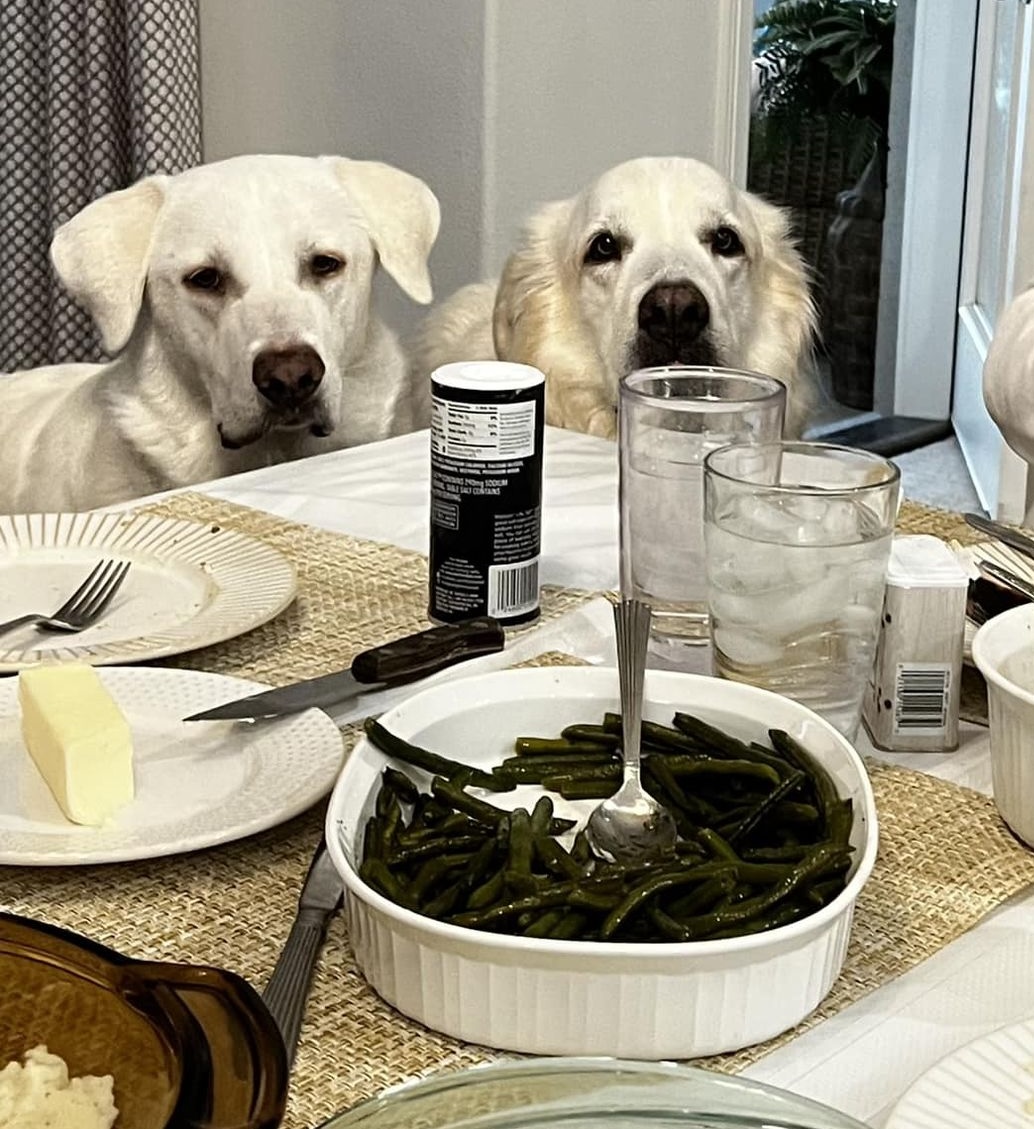 Spin Rescue tweet media