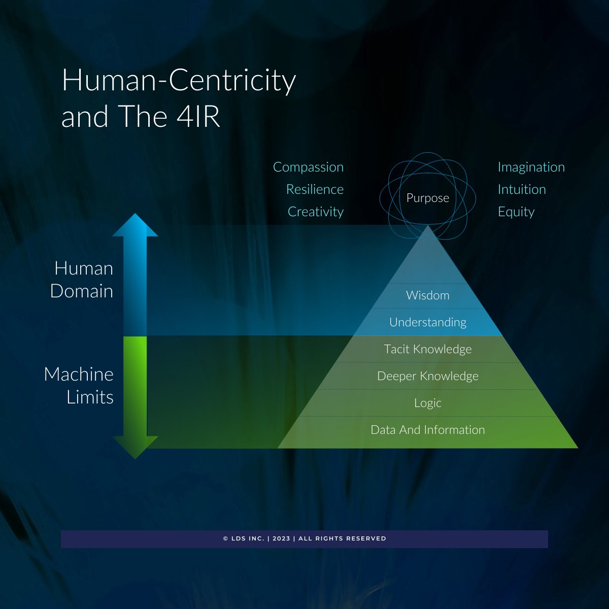 Logical Design Solutions tweet media