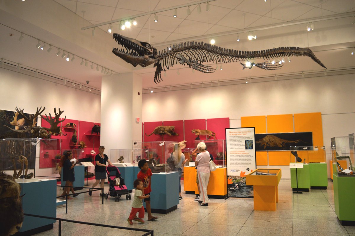 Stop by the @NJStateMuseum to view “Written in the Rocks: Fossil Tales of New Jersey” exhibition for unique fossil stories that offer intriguing clues about our ever-changing planet, how life on Earth has evolved and adapted… or gone extinct.