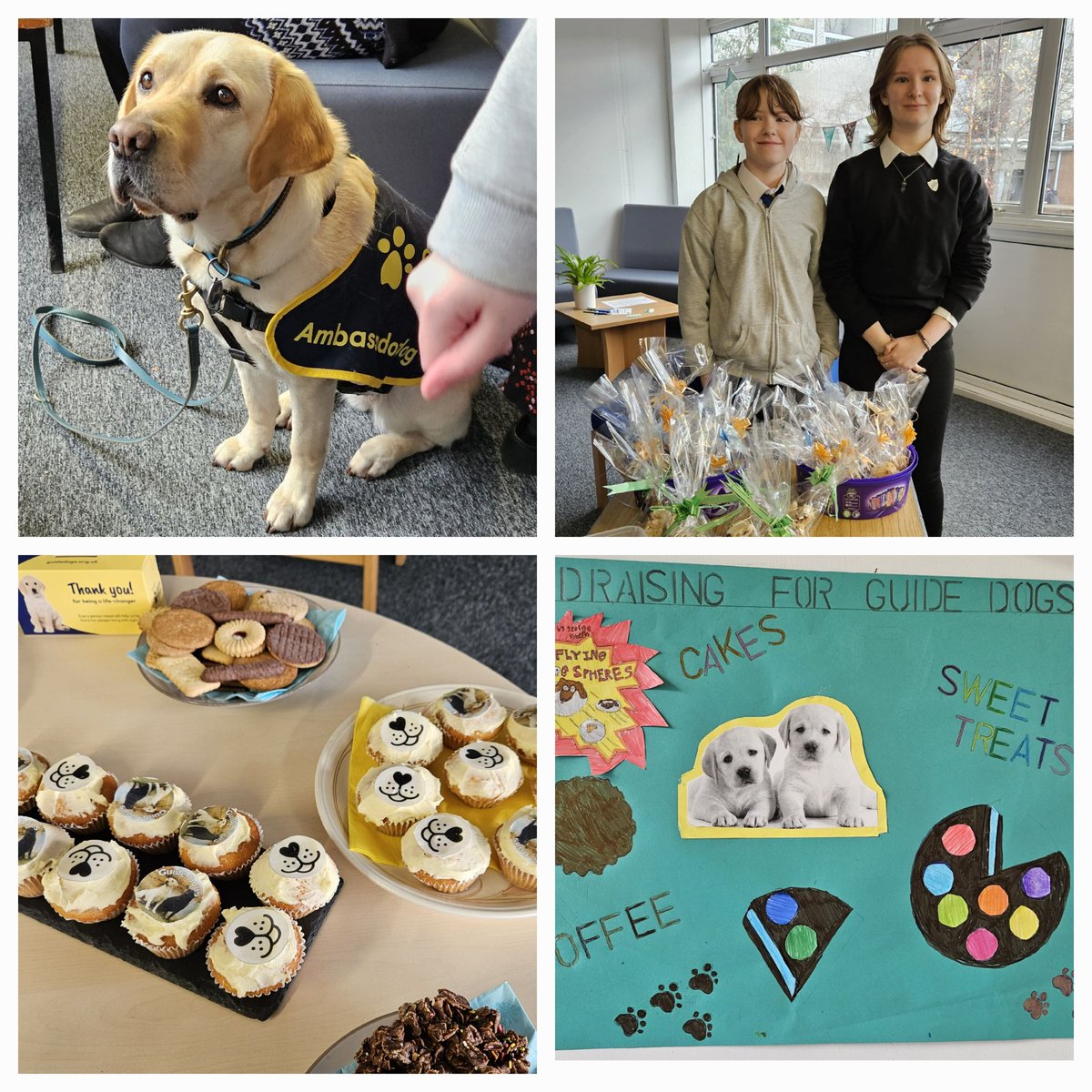 CafePhs's tweet photo. The Sweet Treats cafe crew helped with the fundraising coffee morning for guide dogs today. What a great cause 🐕🍰🐶🍩 https://t.co/KqZo0GYYVT