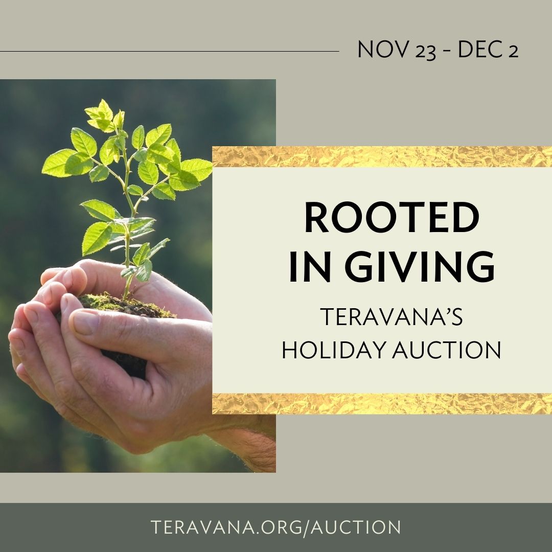 JNFAgallery's tweet photo. Your participation in "Rooted in Giving: Teravana's Holiday Auction"  directly supports our non-profit's vital programs including reforestation efforts and our art residency program.
Click Here see all items and bid: https://t.co/XbrPBmqe9a https://t.co/EfpNvnnsMS