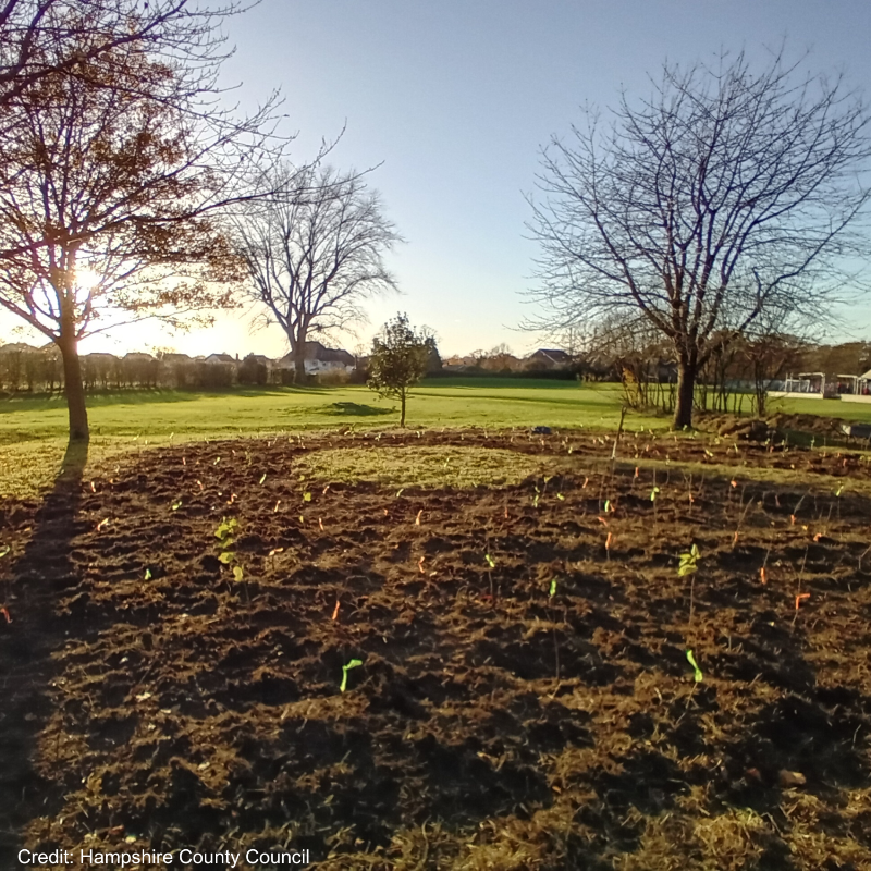 DefraGovUK's tweet photo. Our Coronation Living Heritage Fund is awarding £2.5m to plant 130,000 trees for local communities 👑

@HantsConnect worked with Trosnant Infant and Junior School pupils to design and plant their first micro wood – creating a biodiverse outdoor classroom.

 #NationalTreeWeek https://t.co/vU3MIYBwNL