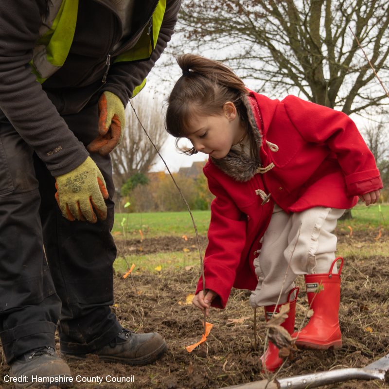 DefraGovUK's tweet photo. Our Coronation Living Heritage Fund is awarding £2.5m to plant 130,000 trees for local communities 👑

@HantsConnect worked with Trosnant Infant and Junior School pupils to design and plant their first micro wood – creating a biodiverse outdoor classroom.

 #NationalTreeWeek https://t.co/vU3MIYBwNL