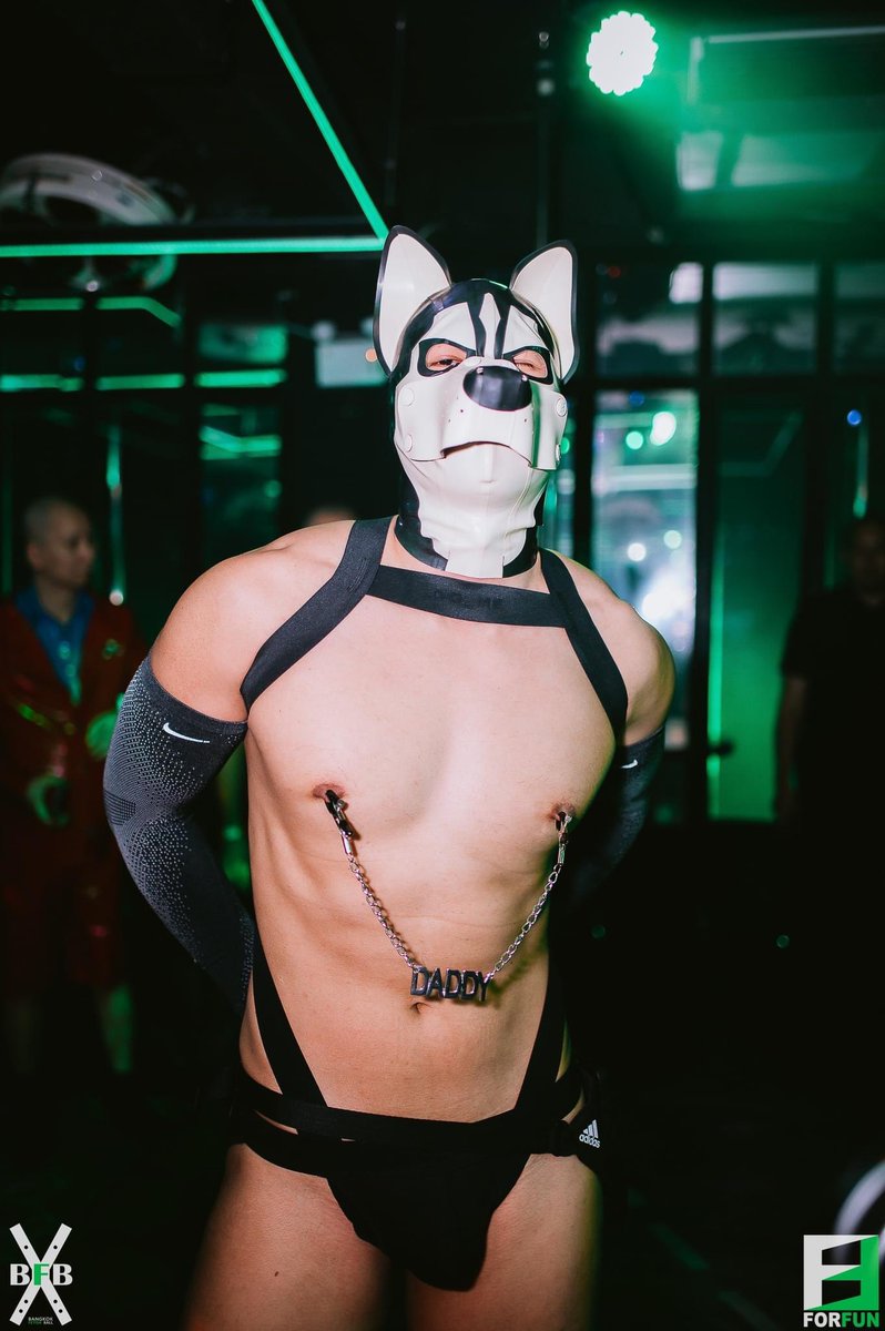 subguyplayonly's tweet photo. do you like my outfit

#bangkokfetishball #bbkfetishball #bkkfetishball2023 #bfb2023 https://t.co/KFKwHKdgtP