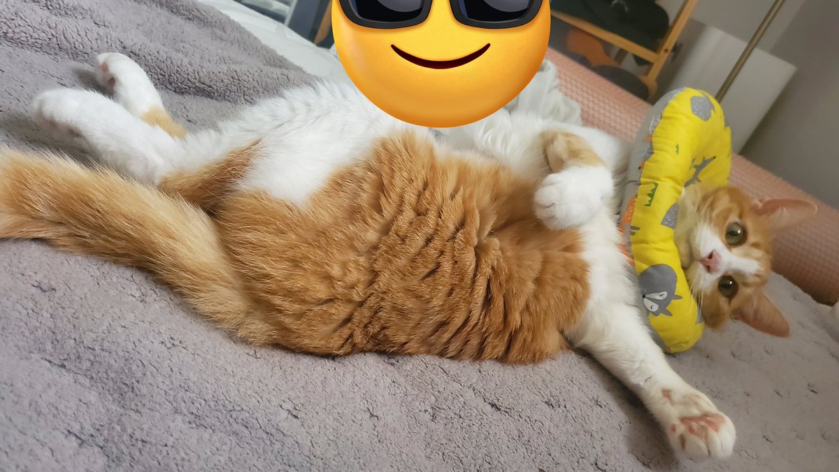 today_hellcat's tweet photo. https://t.co/SUtJjcfN0J