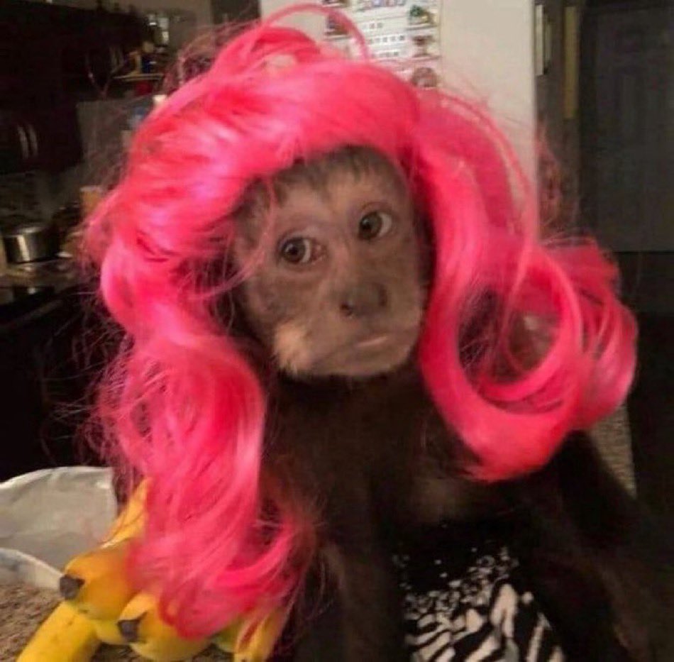 imagina ser mal amado assim mds