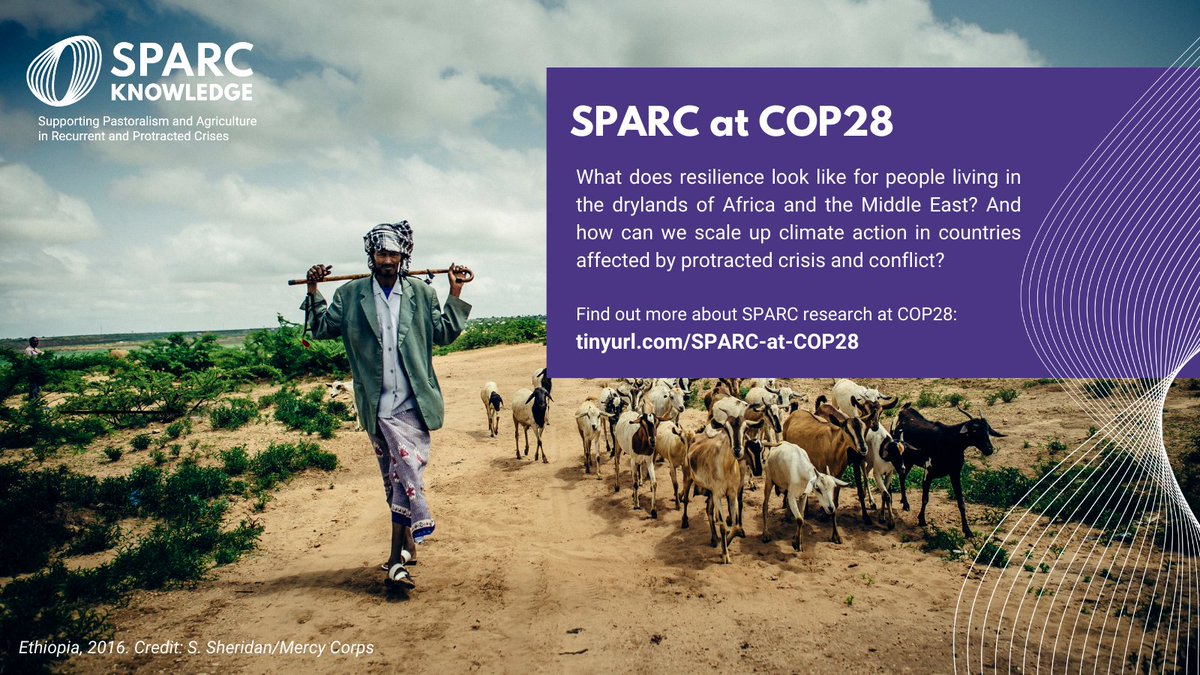 SPARC is a six-year research-to-action programme led by @Cowater_Intl, @ILRI, @mercycorps, @ODI_Global & partners which informs more effective policies and investments in the drylands of Africa and the Middle East. Join us at #COP28 to find out more: sparc-knowledge.org/news-blogs/eve…