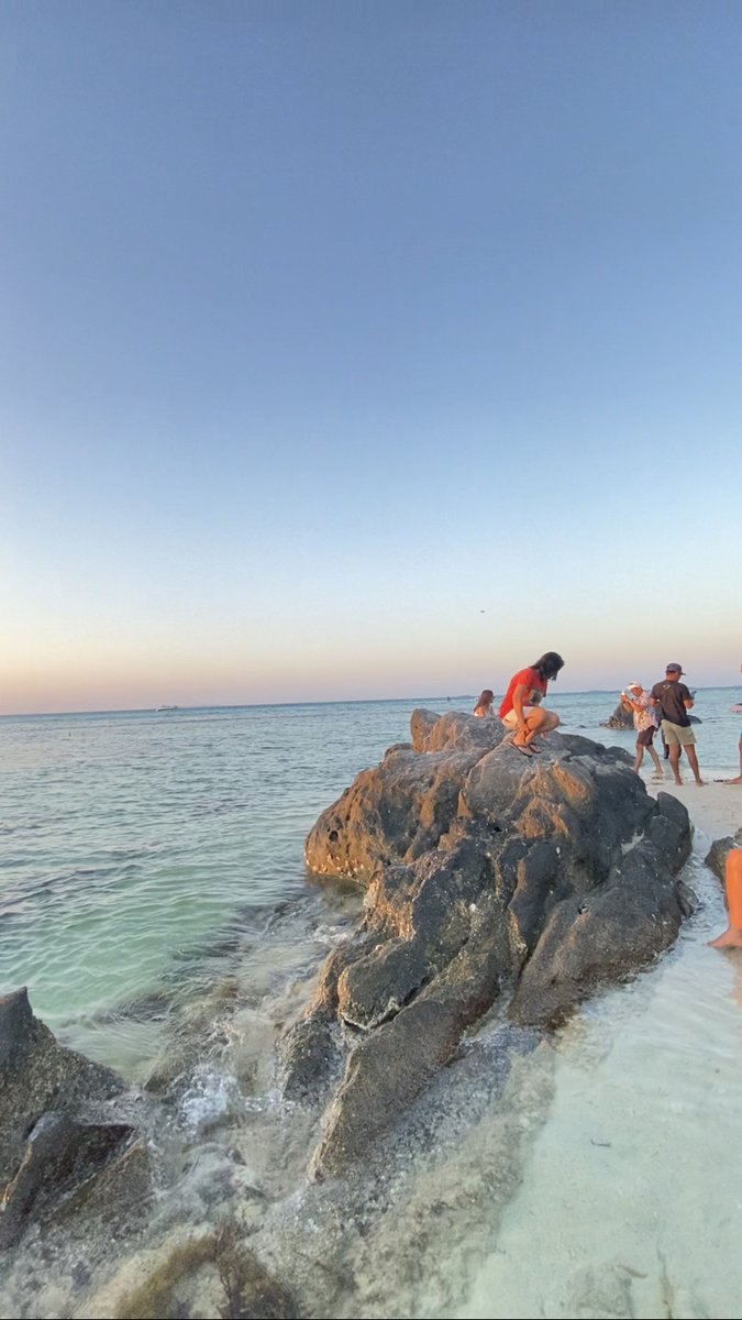 itsmonjourn's tweet photo. Journey solo trip ke Karimun Jawa 4 hari 3 malam (tanpa agen travel)

Masih nggak nyangka akhirnya salah satu wishlist travelingku selama bertahun tahun bisa terwujud di tahun 2023. Habis dari laut selanjutnya harus ke gunung nggak si? Hehe. https://t.co/EPxvkO9JkT