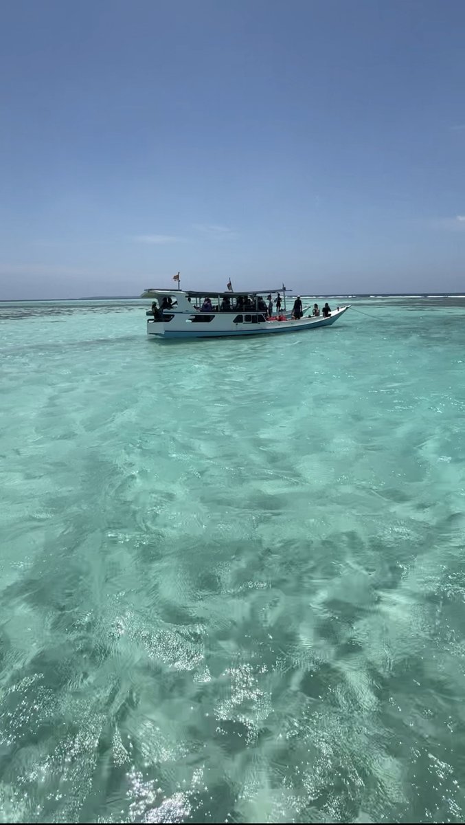 itsmonjourn's tweet photo. Journey solo trip ke Karimun Jawa 4 hari 3 malam (tanpa agen travel)

Masih nggak nyangka akhirnya salah satu wishlist travelingku selama bertahun tahun bisa terwujud di tahun 2023. Habis dari laut selanjutnya harus ke gunung nggak si? Hehe. https://t.co/EPxvkO9JkT