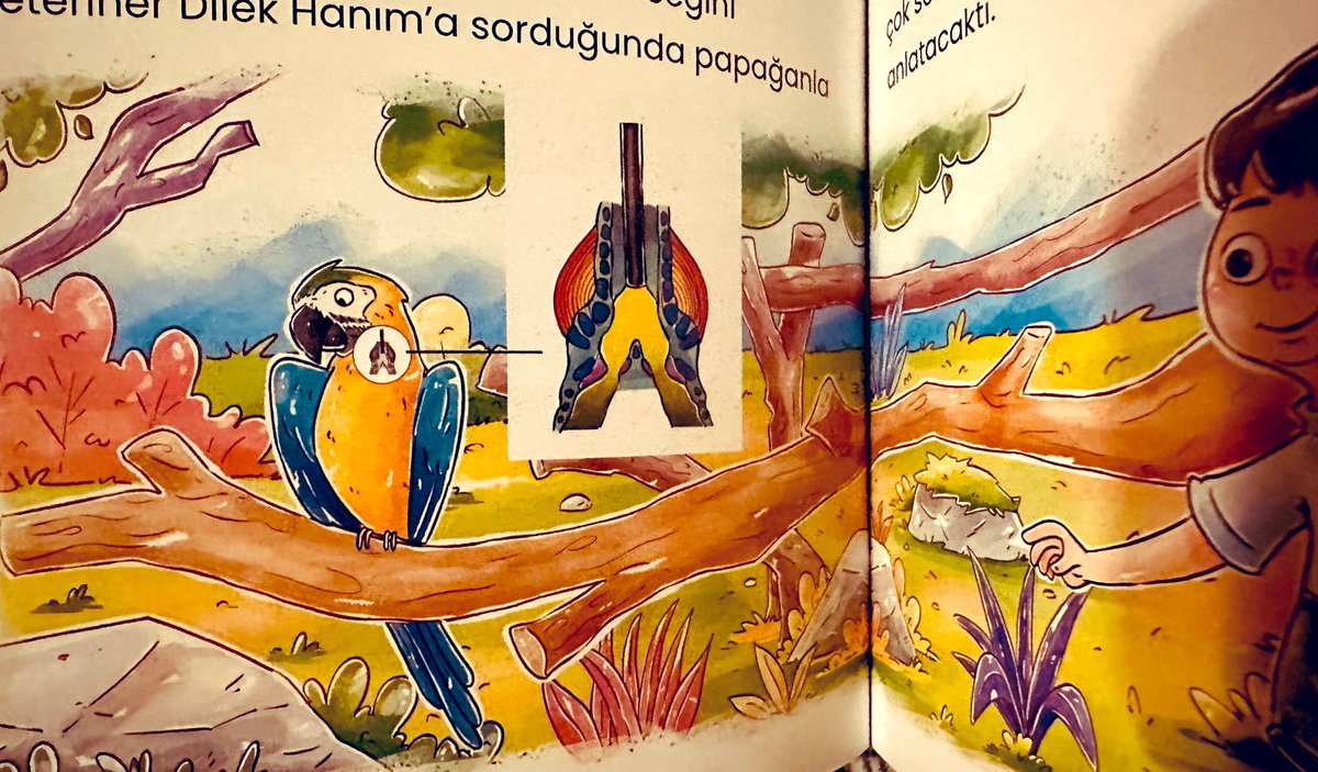 Kalp ile duyulur…

❤️

Aslında her şey sevgili oğlum Berk’in tek taraflı duyma kaybı tanısı aldığı o gün başladı.

Ağır bir enfeksiyondan sonra iç kulak zarı ağır zarar almıştı. Tek taraflı tam duyu kaybı var olduğu söylendi…

Bir anne olarak hele de doktor bir anne olarak