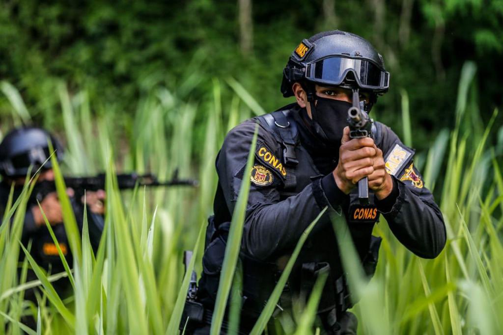 @FuerzaDinamica Remigio Ceballos Ichaso tweet media