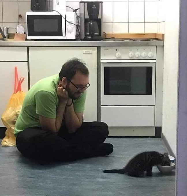 itsD3lay's tweet photo. nadie:

yo cada vez que voy a casa de alguien que tiene mascota: https://t.co/x7xjQVzcGQ