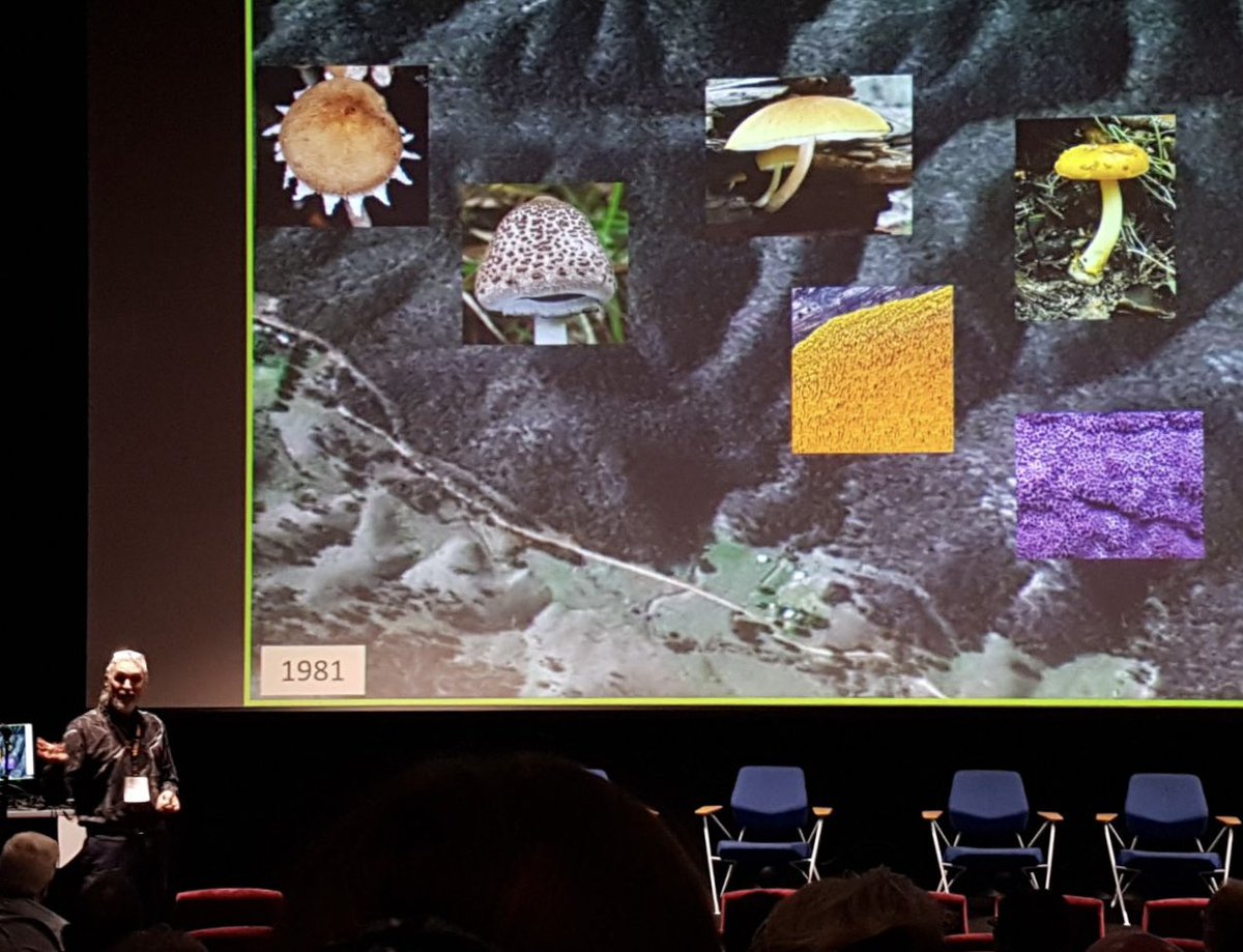 Join us in congratulating Tom May, founding member of the AMS, for being awarded the Nancy T. Burbidge medal, which is the highest recognition from <a href="/ASBS_botany/">Australasian Systematic Botany Society (ASBS)</a> <a href="/biosyst2023/">Biosystematics 2023</a> <a href="/RBG_Victoria/">RBG Victoria</a>