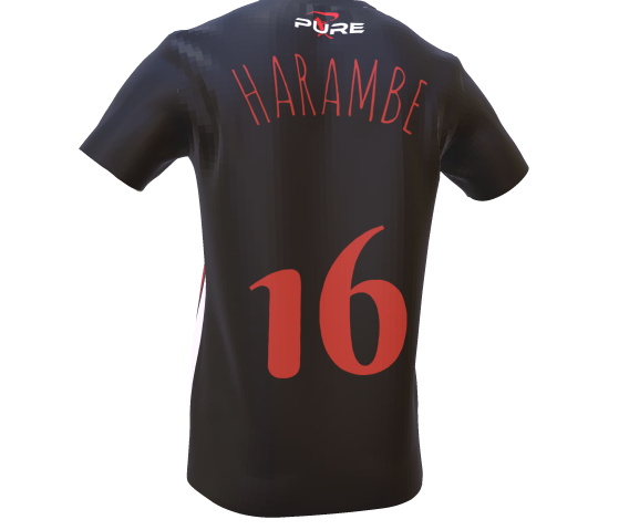 PureSportsTech's tweet photo. 🧨Check out  these jerseys created with our new design tool!🔥Head on over to the Pure Sports website to design your own today!
 🛍️https://t.co/PGpgShULq2 
#slowpitch #pureis4thepeople #swingpure #softball #purefire https://t.co/emwERH8rdM