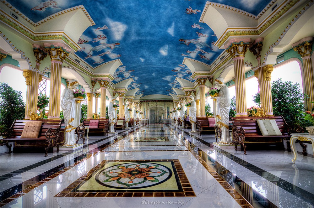 Patricia tweet media