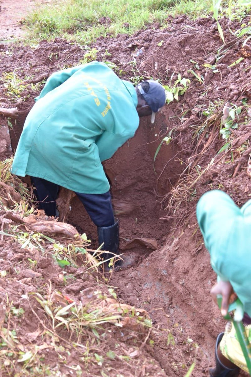 HonKangata's tweet photo. Township Ward Muranga Town, Mumbi Estate Muranga Youth Service unclogging drainages https://t.co/ifMDm62cwv