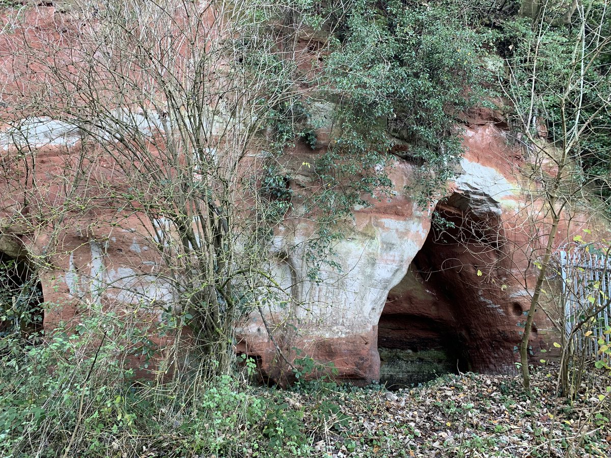 wanderlost_the's tweet photo. Just wandered past the amazing Redstone Rock caves near Stourport-on-Severn. These sandstone caves were carved out in the 12th century and once housed up to 500 hermits! A fascinating glimpse into the past along the Geopark Way trail. #RedstoneRock #GeoparkWay #Worcestershire https://t.co/jPYUJDcnb1