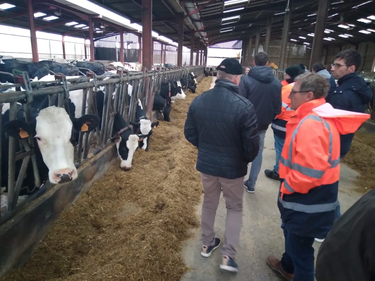 InterbevGdEst's tweet photo. Le diagnostic Boviwell est l'outil de référence en matière de Bien Être Animal en élevage bovin : aujourd'hui c'était donc séance de formation pour des Éleveurs mosellans !
#questiondepro #boviwell @Interbev_fr @cniel https://t.co/W3tvBi7qBM