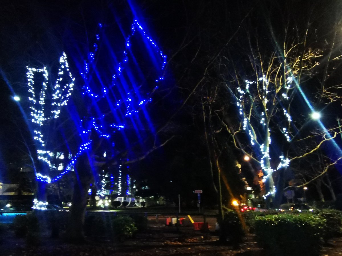 Dusk and then christmassy lights @uniofeastanglia on my walk to and from the @SportsparkUEA. Working with our @UEAPESH students at their evening Activate study sessions.✨