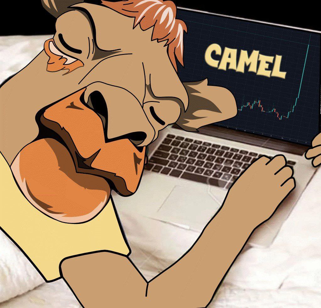 onlycamel_eth's tweet photo. 🌙 Ride into the night with the Camel Gang! 🐪✨ Big things are cooking in the desert for $CAMEL. Hold on tight, the vibe is about to get wild!

#Camelgang https://t.co/98li88Ro4T