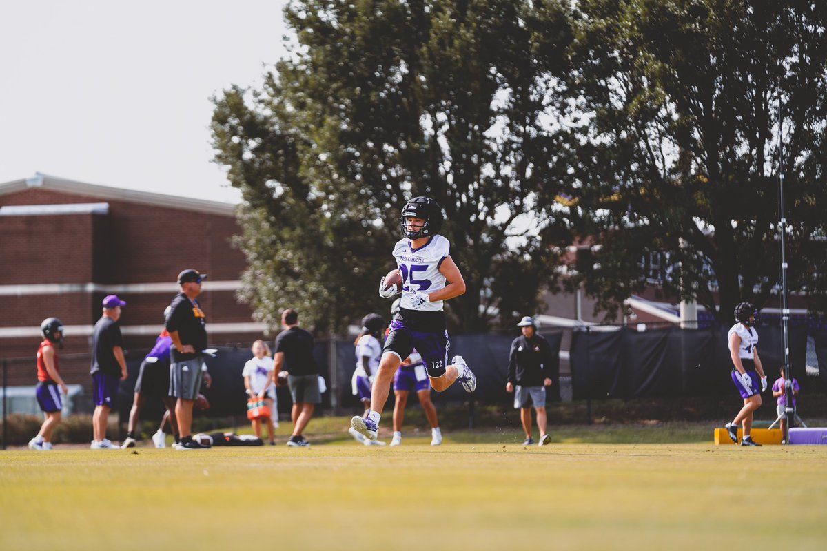 Year 1✅ Back to work.