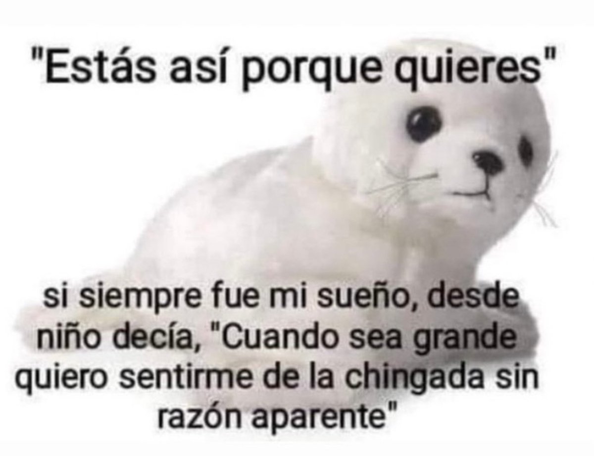 conoloracigarro's tweet image. soy ese 🦭