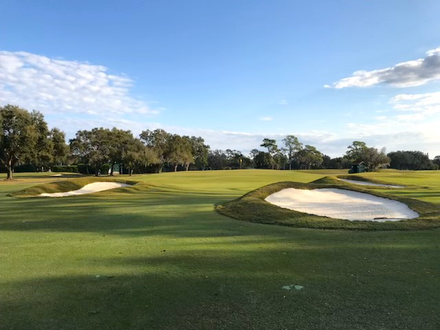 LinksNation tweet media