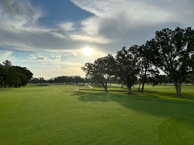 LinksNation tweet media