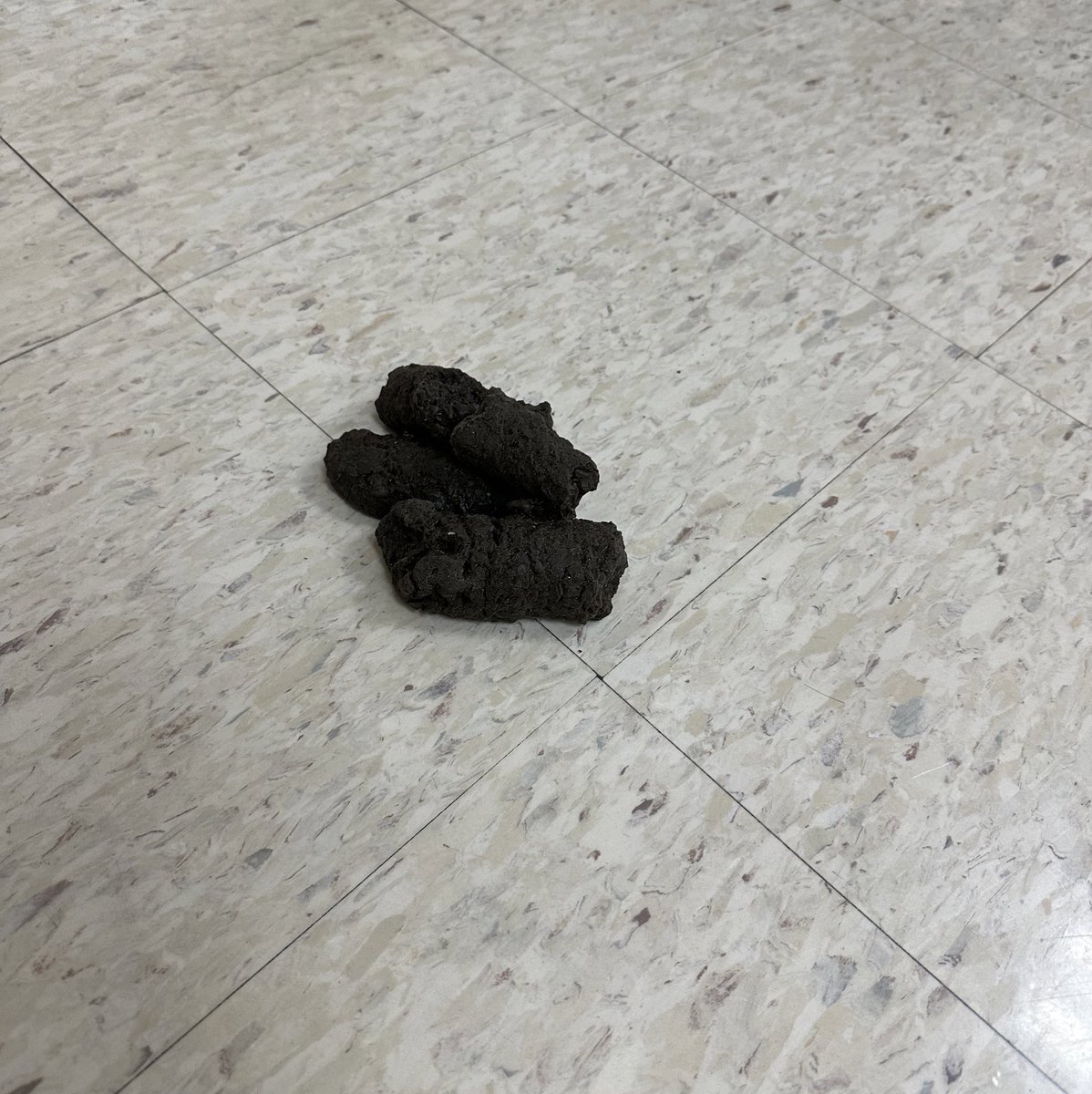 PierPerspective's tweet photo. Today, Careers’ students learned from a park naturalist about what it takes to keep Missouri natural resources preserved. He brought some fun props that kept the 8th graders entertained. #umswildcats #unionrxi https://t.co/QY2C4Vo4DN
