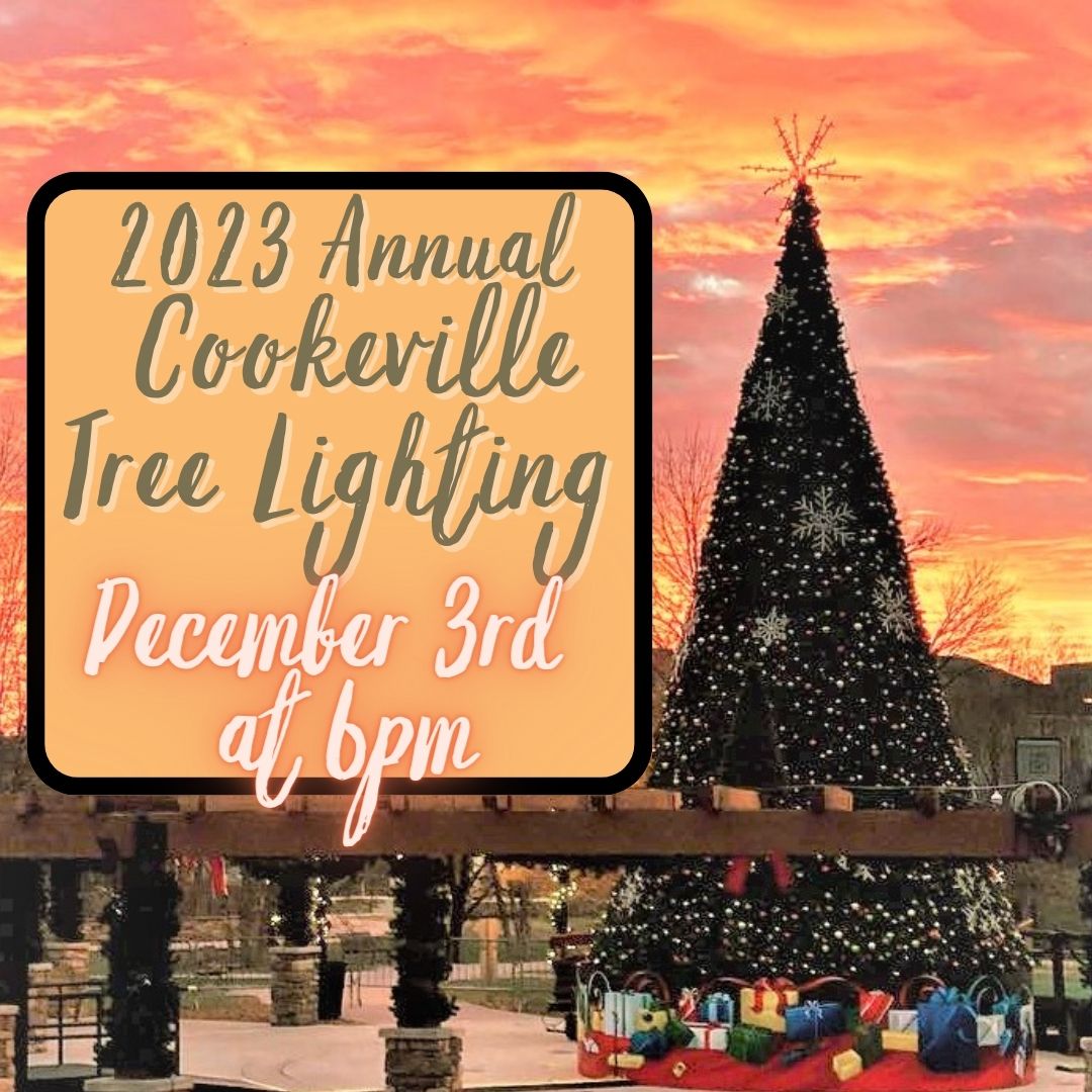 Tree Lighting ceremony THIS SUNDAY at 6pm in Dogwood Park

Hear music from our local choirs, reading from classic holiday stories, and some warm words from our local reps all before the big finale of music and dancing lights on our 40ft tree!

#leisureservices #Treelighting #free