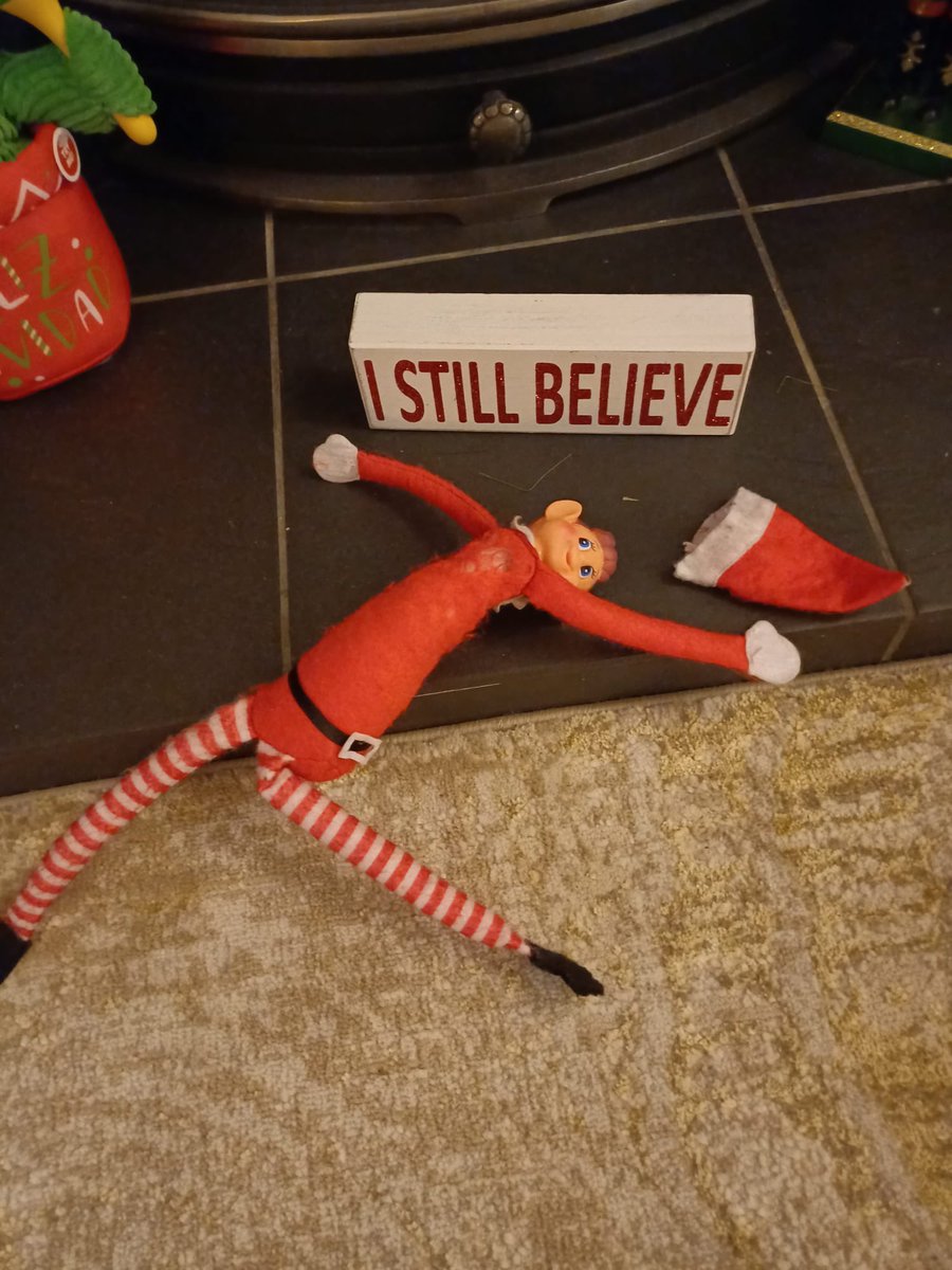 AntheaJames3's tweet photo. Tweet ๐ฆ #GoodnightTweetHearts Hope everyoneโs had/ having a lovely Tuesday. The demise of one Naughty Elf off the Shelf โฆ was it Pudels doing ๐๐ #SweetDreams
#ElfOnTheShelf that was #dogsoftwtitter #TuesdayFeeling https://t.co/m7eW5zrWwF