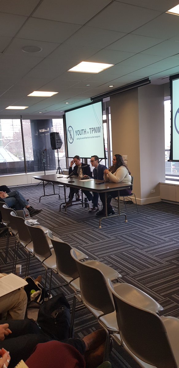 The first workshop session on the topic "Advancing Provisions of the TPNW".