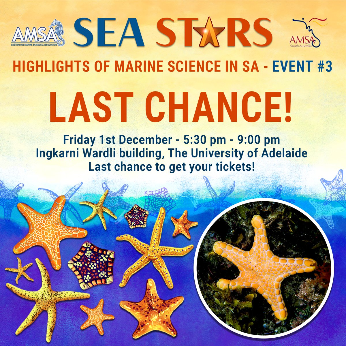 MarineScienceSA's tweet image. Last chance to get your tickets for Sea Stars and AMSA-SA's end of year social event! 🌟📷⭐️

Come see your Sea Stars present at 5:30 pm this Friday 1st December at The University of Adelaide

Only a few tickets still available: bit.ly/3QtdELv