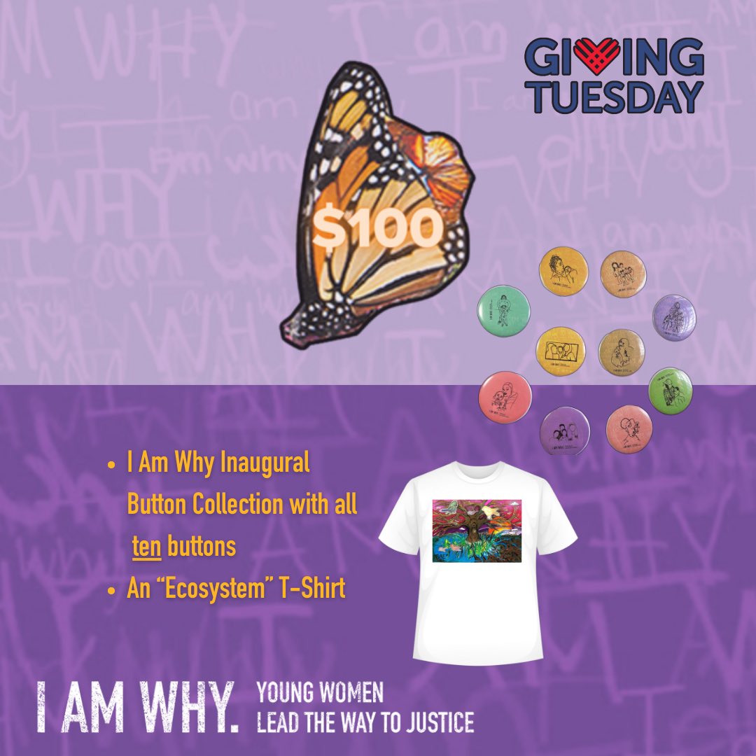 IAmWhyJustice's tweet photo. We are powerful, but we are also a small organization with limited capacity, and to continue to provide our core programming, we need your support to help us reach our donation goal of $2,500 this #GivingTuesday! https://t.co/cWnWe3JnSq