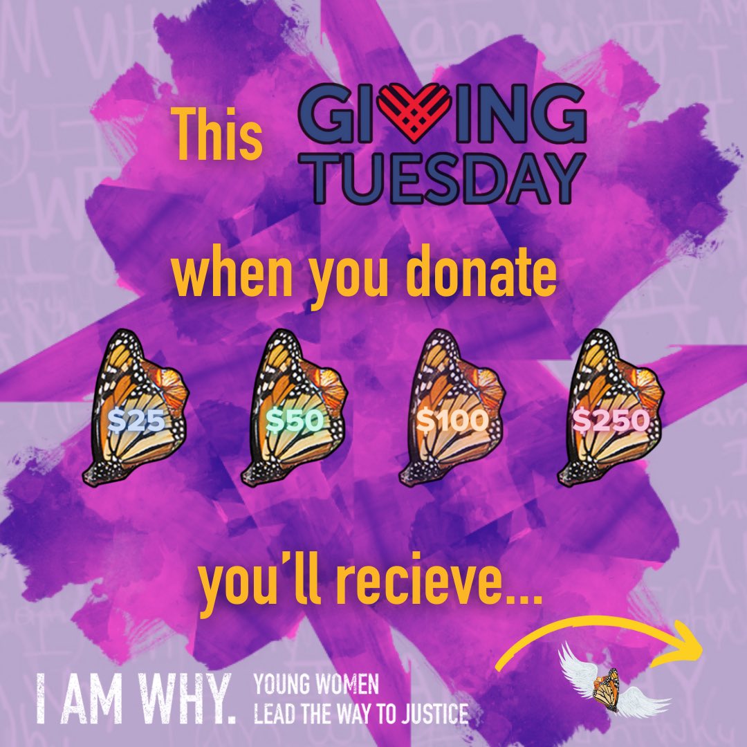 IAmWhyJustice's tweet photo. We are powerful, but we are also a small organization with limited capacity, and to continue to provide our core programming, we need your support to help us reach our donation goal of $2,500 this #GivingTuesday! https://t.co/cWnWe3JnSq
