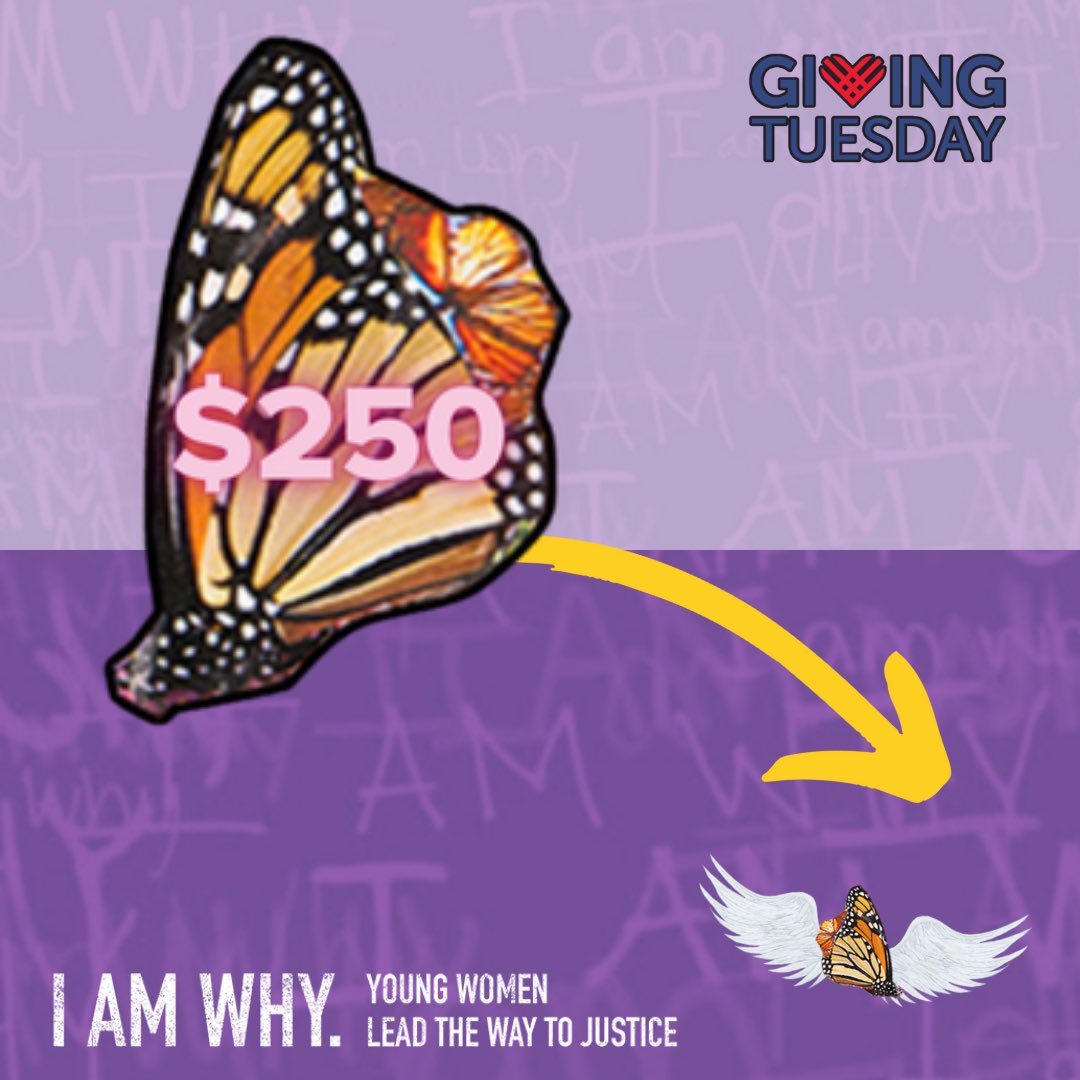 IAmWhyJustice's tweet photo. We are powerful, but we are also a small organization with limited capacity, and to continue to provide our core programming, we need your support to help us reach our donation goal of $2,500 this #GivingTuesday! https://t.co/E4T5IIJYlR