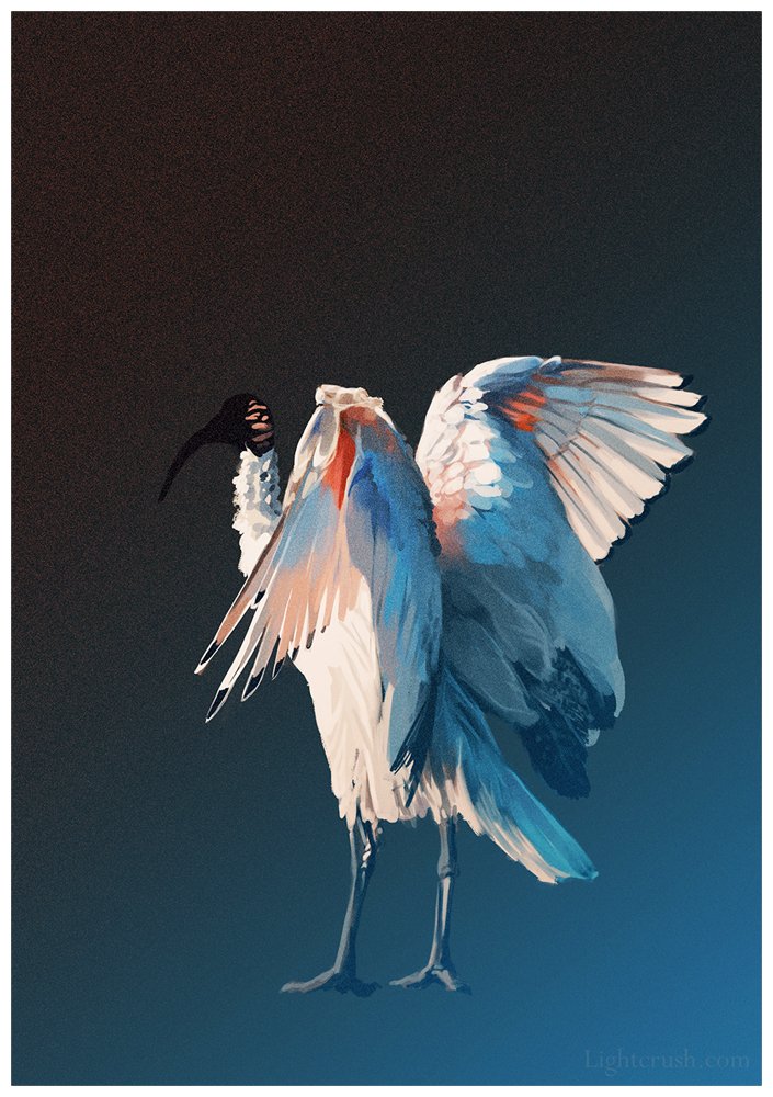 Jenna Vincent tweet media