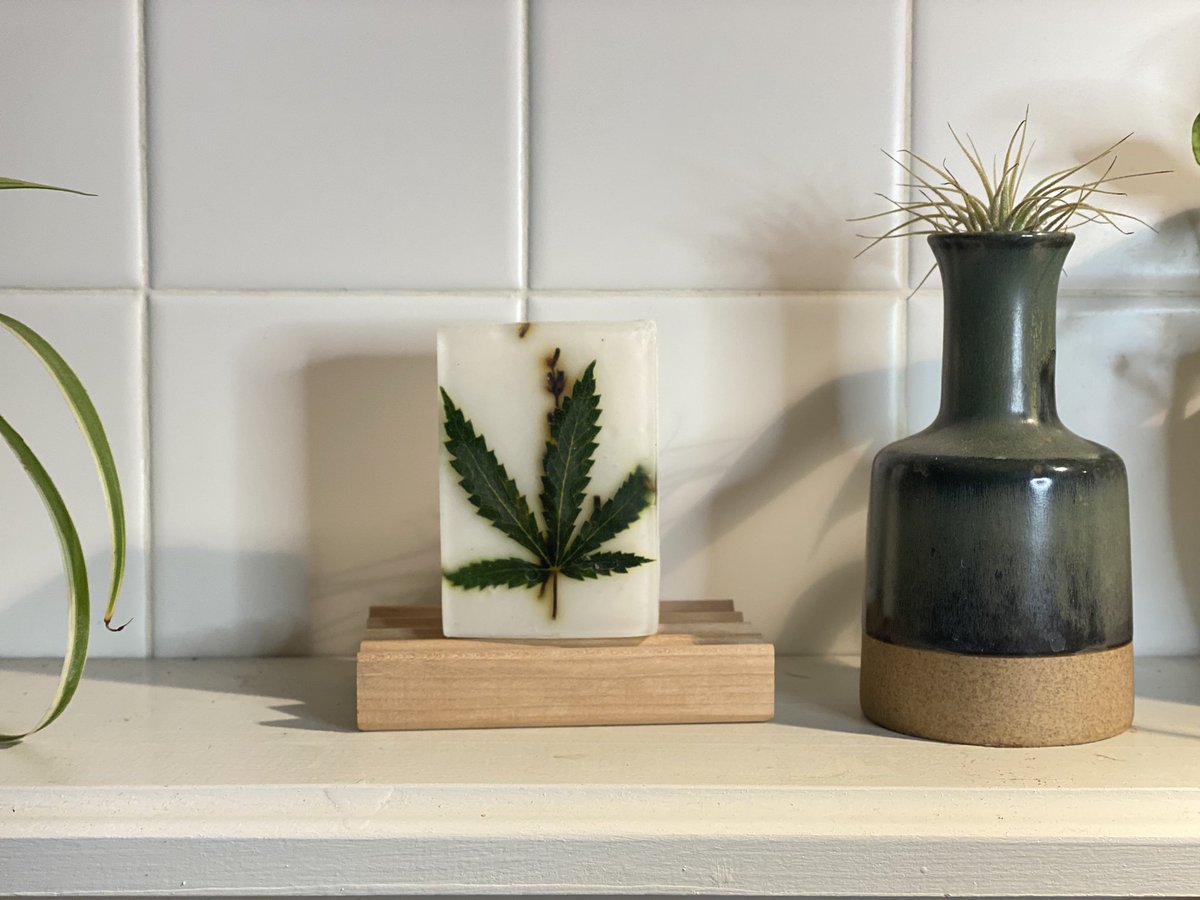 where my stoner swifties at? i made the lavender haze dope soap just for us and it smells intoxicating, like something you just wanna stay in.
all soaps are currently buy 2, get 1 free in the shop rn: apothecaryhighdesert.com #lavenderhaze #dopesoaps #taylornation #stonergifts