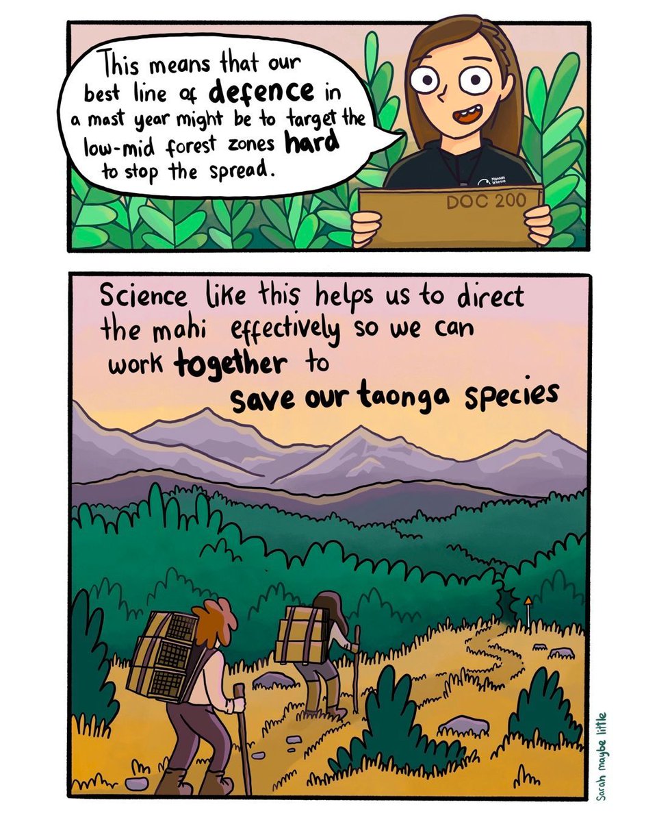 How can we convey complicated science stories so that they can be understood by as many people as possible? Researcher Jo Carpenter turned her recent beech mast research findings into this fab comic strip, created by illustrator Sarah Maybe Little.
#biodivesity #pestcontrol