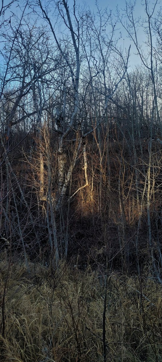 kandra_forbes's tweet photo. Waiting on snow... https://t.co/TNN4yerZGk
