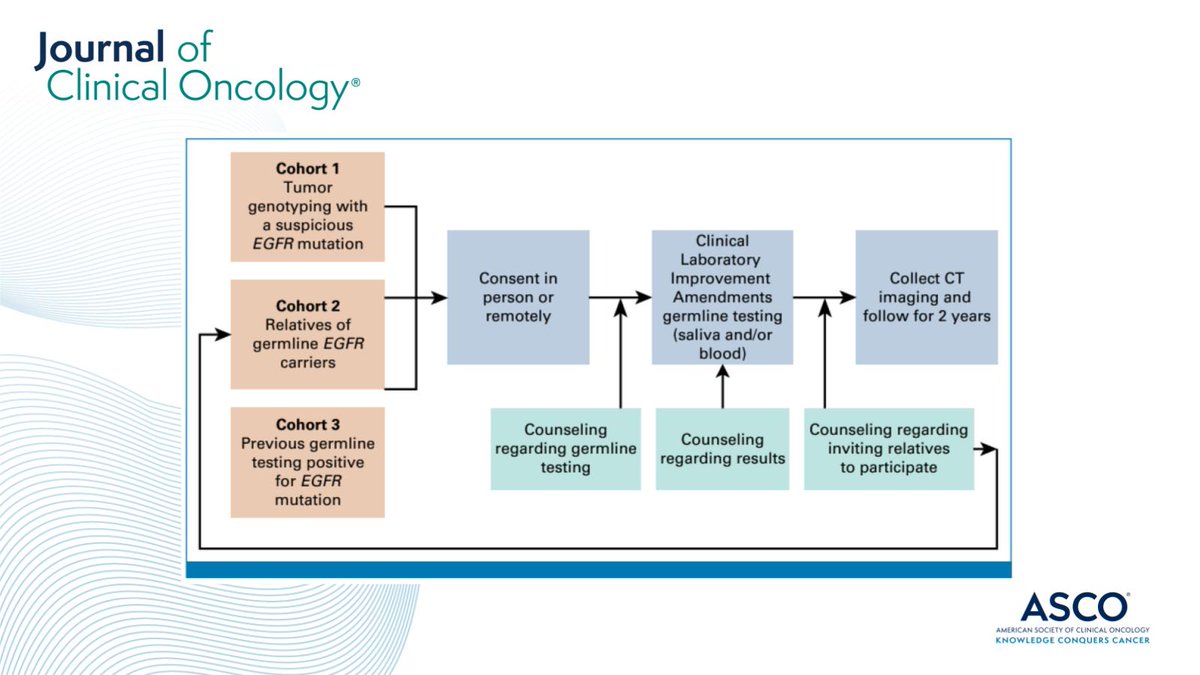 JCO_ASCO's tweet photo. 🧬 Germline #EGFR mutations and familial #LungCancer ➡️ https://t.co/DFJOGeSnti #LCSM #gencsm https://t.co/lEpiBHopzq