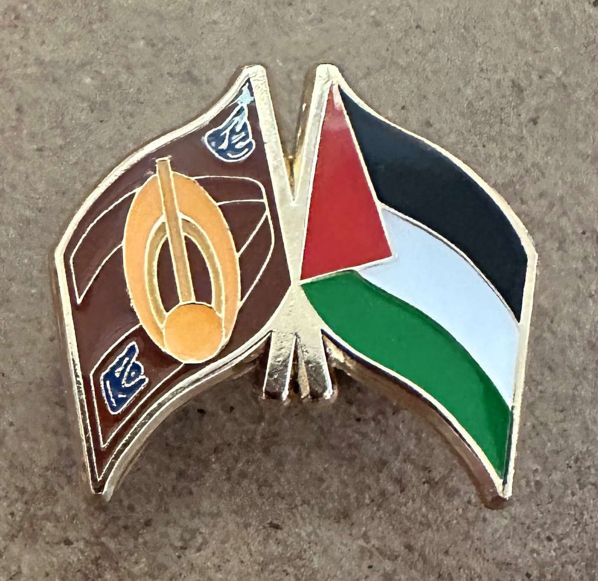 Bajor - Palestine double flag pins have arrived in the US and they sent me this picture! Orders are open and I expect to be able to ship them by 12/4. 100% of the proceeds from these will be donated to the Palestinian Children's Relief Fund. willburrows.art/shop