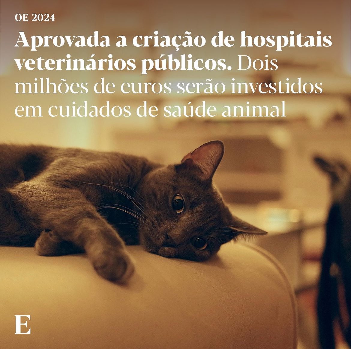 MC Somsen tweet media